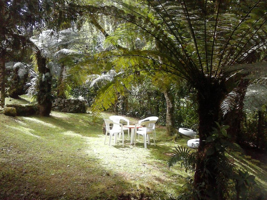Hotel Nanda'S House Pousada São Francisco de Paula Exteriér fotografie