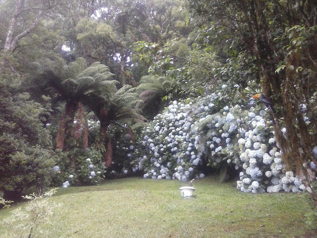 Hotel Nanda'S House Pousada São Francisco de Paula Exteriér fotografie